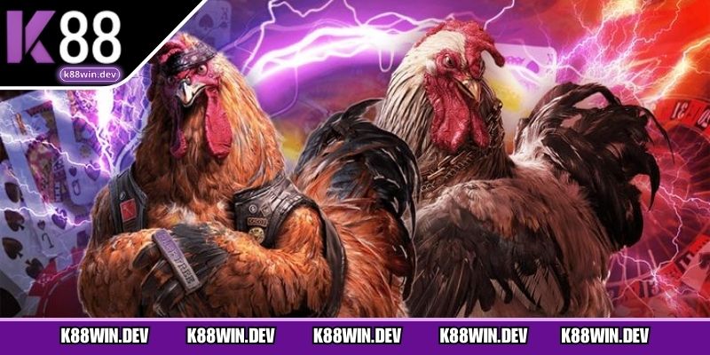 Các hình thức đá gà phổ biến tại sân chơi K88